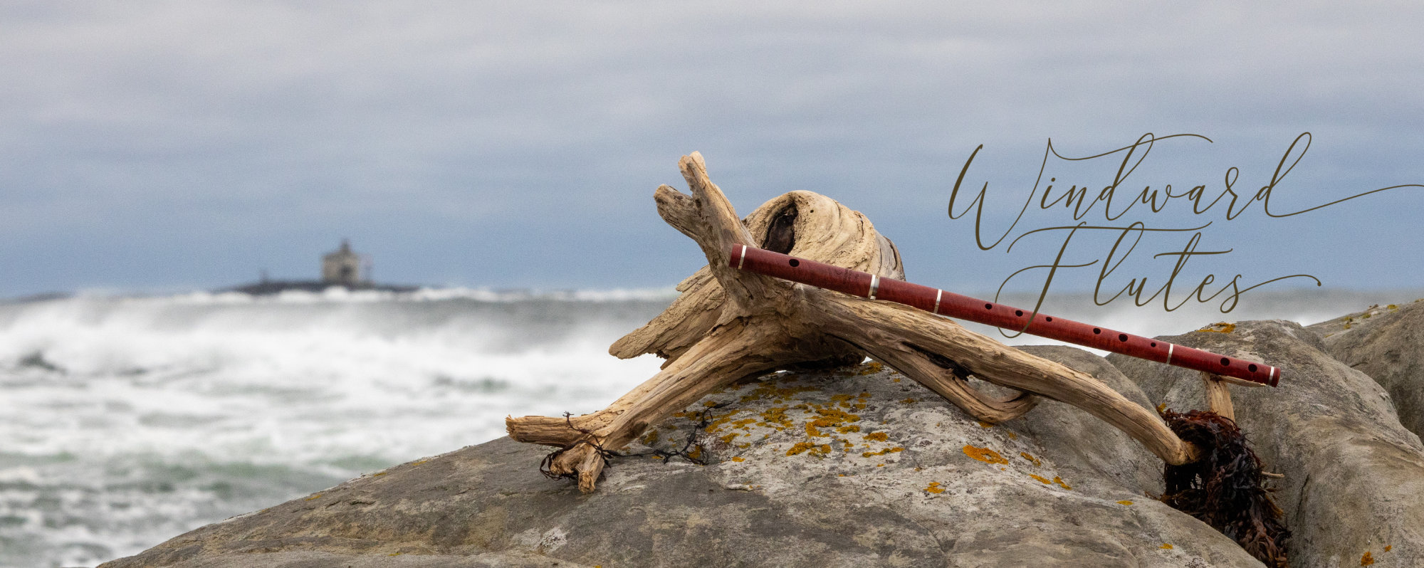 Pink Ivory flute on Driftwood in front of waves and lighthouse on rugged Nova Scotia Coast